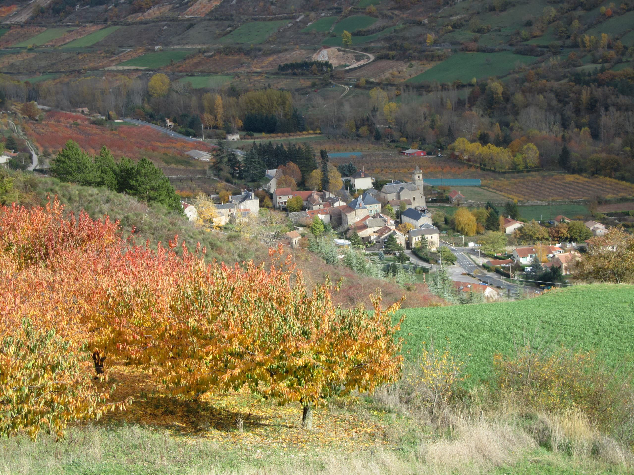 Compeyre en automne